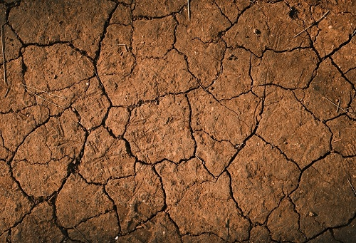 1667188224102140.png image.png