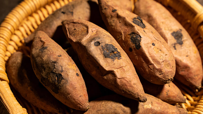 農(nóng)藥殘留檢測(cè)儀準(zhǔn)確鎖定“毒紅薯”元兇，克百威、甲拌磷檢測(cè)能力再升級(jí)